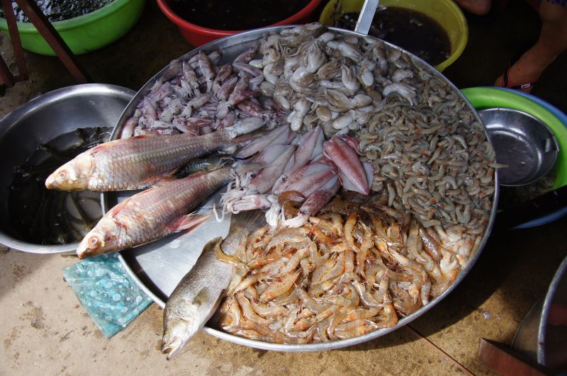 Viewing photos→2013→2013-04-23→86