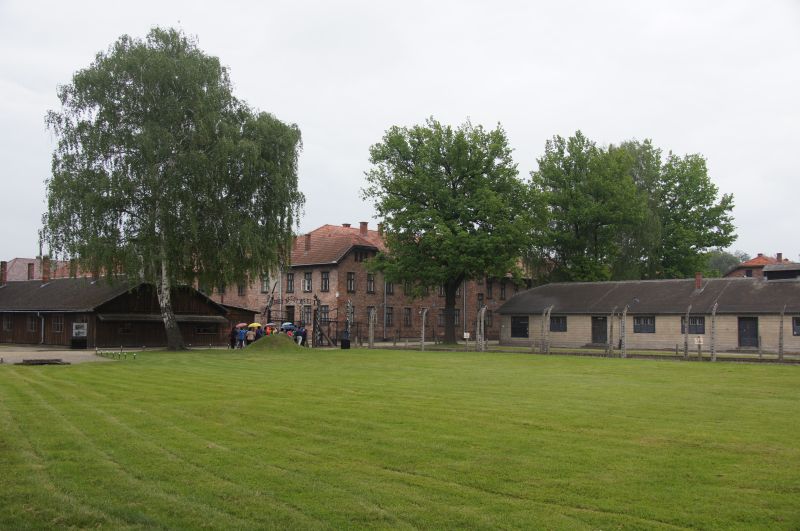 Viewing photos→2013→2013-05-24→01