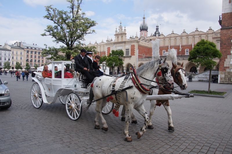 Viewing photos→2013→2013-05-25→02