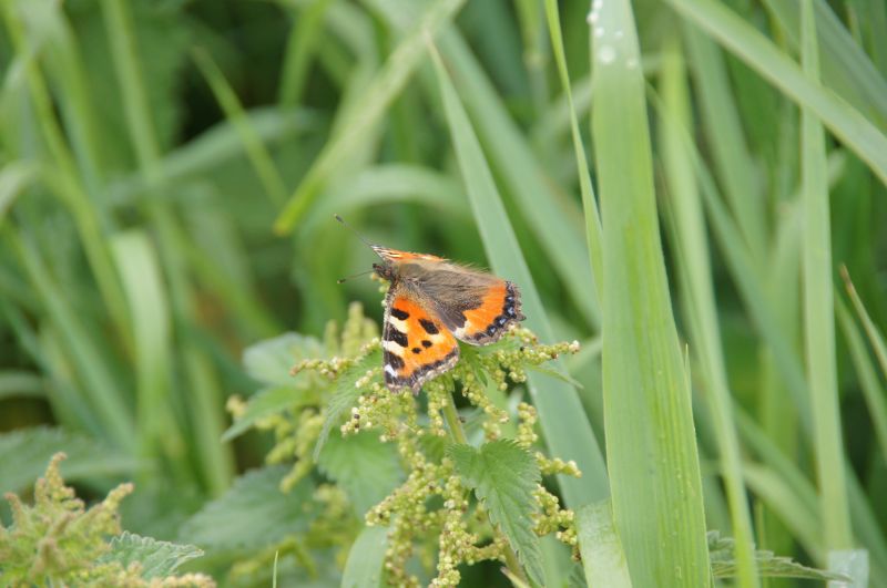 Viewing photos→2013→2013-07-23→45