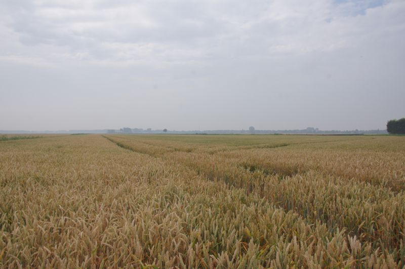 Viewing photos→2013→2013-07-23→46