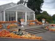 01.jpg - 2013:10:09 13:39:31