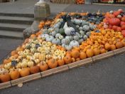 02.jpg - 2013:10:09 13:39:48