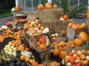 03.jpg - 2013:10:09 13:40:10