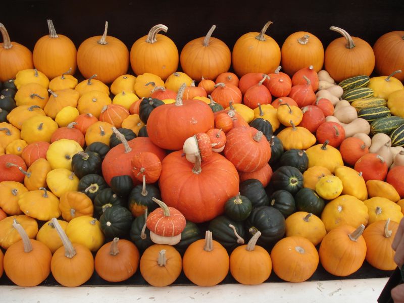 Viewing photos→2013→2013-10-09→04