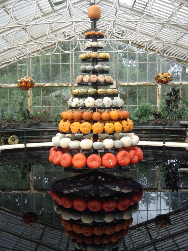 Viewing photos→2013→2013-10-09→05