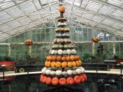 06.jpg - 2013:10:09 13:41:05