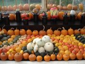 07.jpg - 2013:10:09 13:41:33