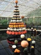 08.jpg - 2013:10:09 13:42:19