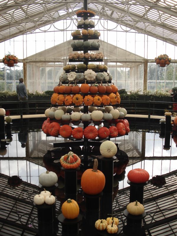 Viewing photos→2013→2013-10-09→09