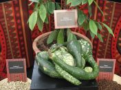 10.jpg - 2013:10:09 13:49:06