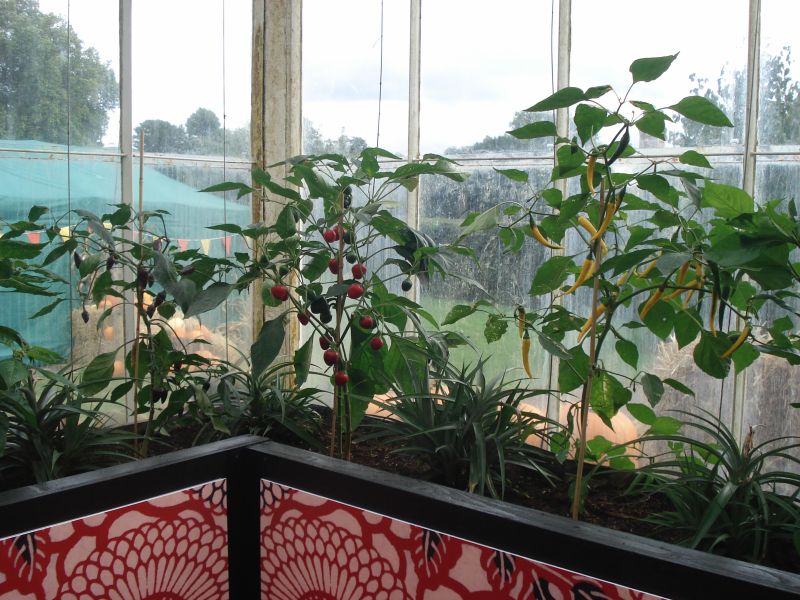 Viewing photos→2013→2013-10-09→11