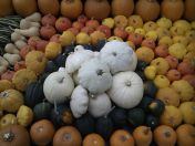 12.jpg - 2013:10:09 13:52:24