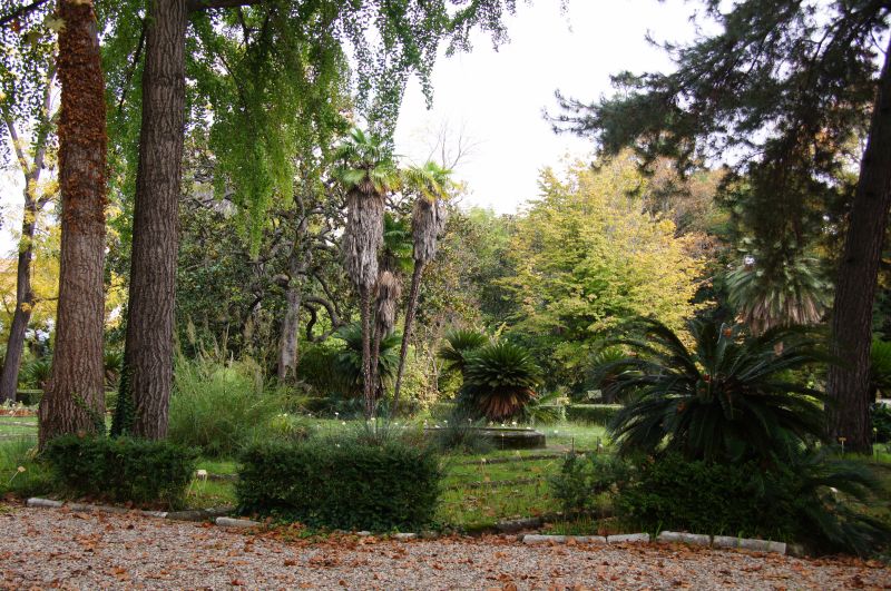 Viewing photos→2013→2013-10-25→61