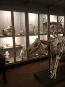 090.jpg - 2013:10:27 19:13:53