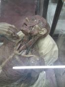 091.jpg - 2013:10:27 19:49:04