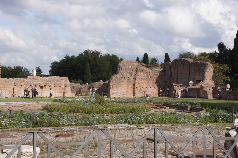 Viewing photos→2013→2013-11-03→029