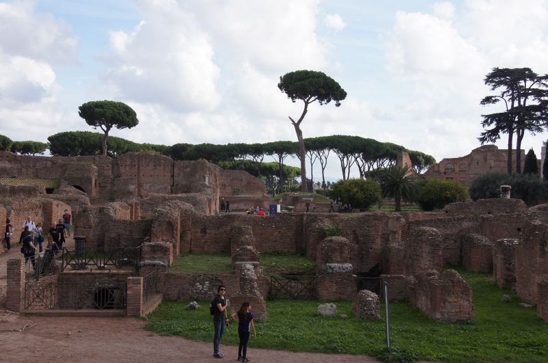 Viewing photos→2013→2013-11-03→032