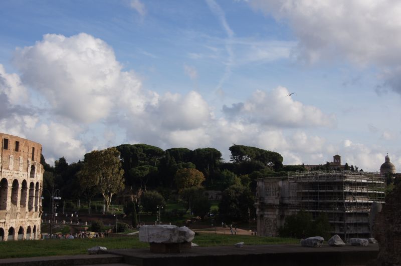 Viewing photos→2013→2013-11-03→065