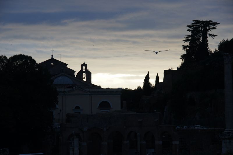 Viewing photos→2013→2013-11-03→086