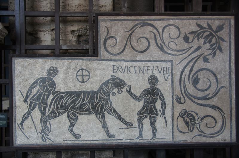 Viewing photos→2013→2013-11-03→142