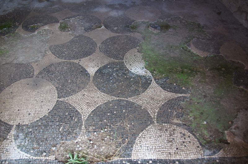 Viewing photos→2013→2013-11-05→37