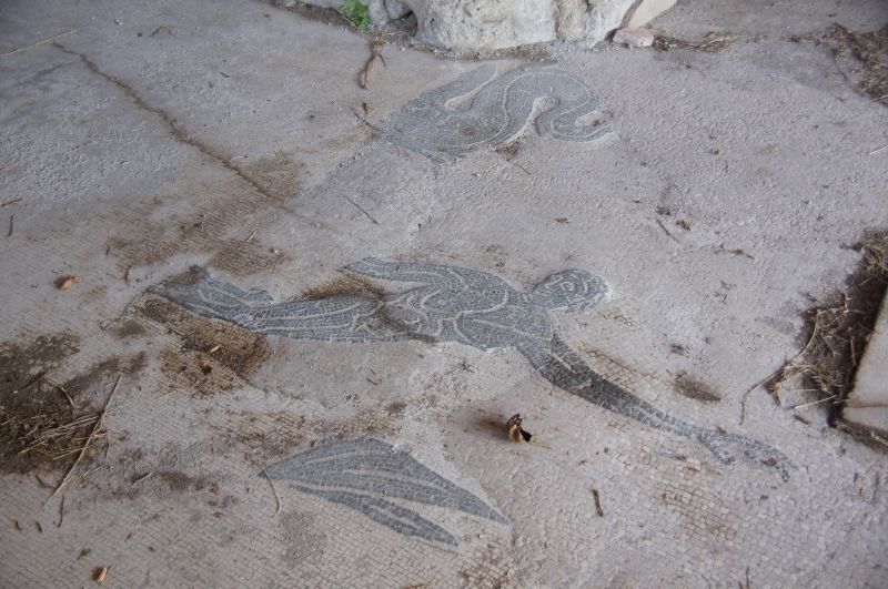 Viewing photos→2013→2013-11-05→71