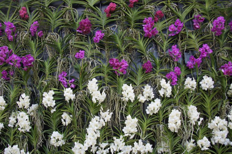 Viewing photos→2014→2014-03-07→01