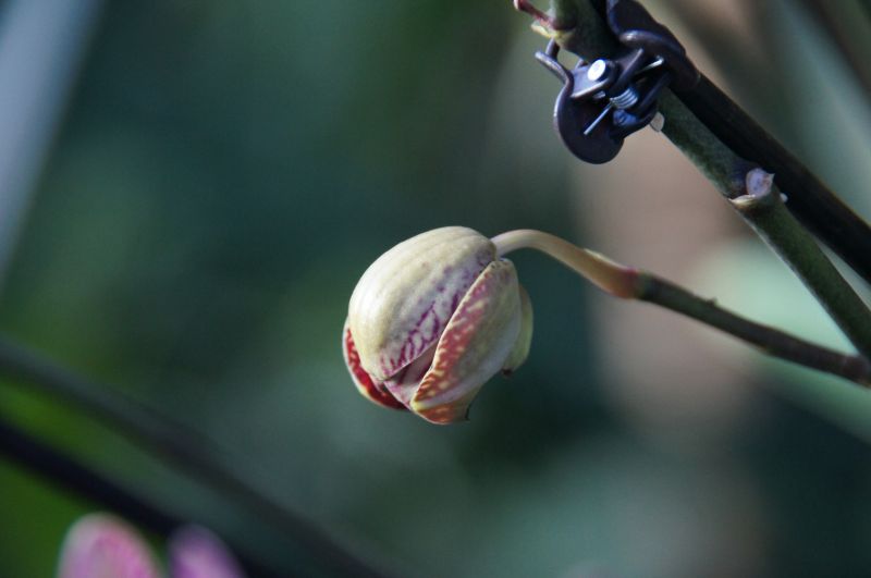 Viewing photos→2014→2014-03-07→03