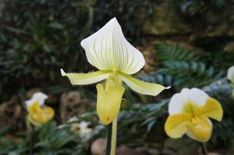 Viewing photos→2014→2014-03-07→05