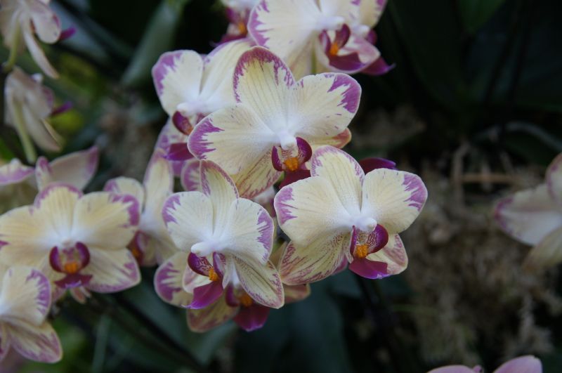 Viewing photos→2014→2014-03-07→09