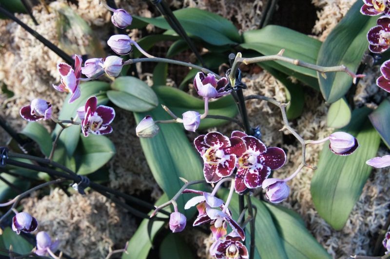 Viewing photos→2014→2014-03-07→10