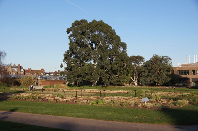 Viewing photos→2014→2014-03-07→14