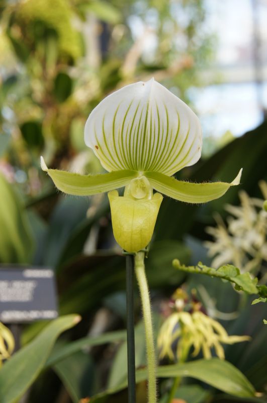 Viewing photos→2014→2014-03-07→19