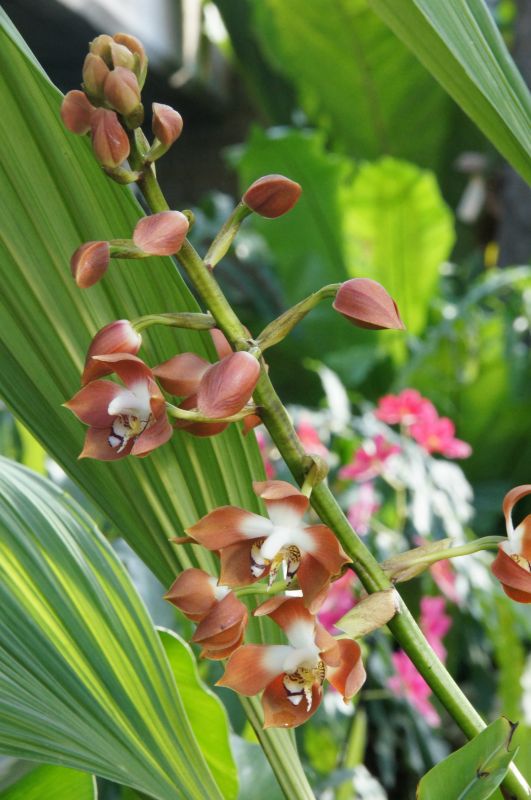 Viewing photos→2014→2014-03-07→21