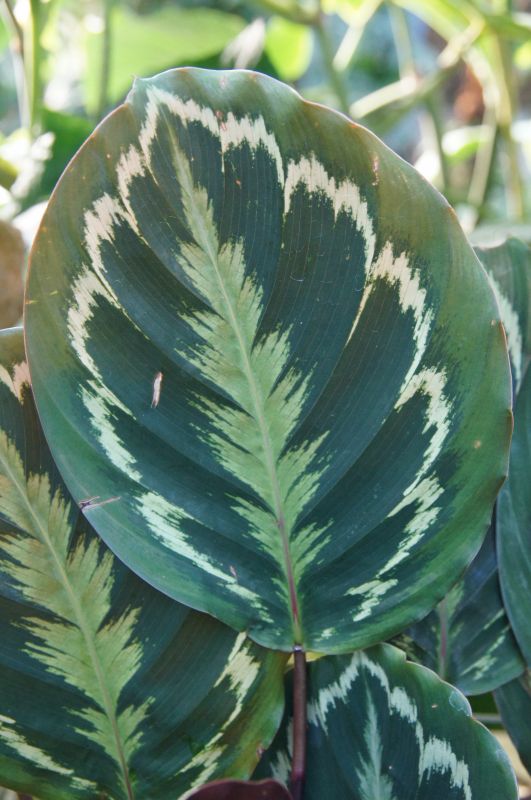 Viewing photos→2014→2014-03-07→23