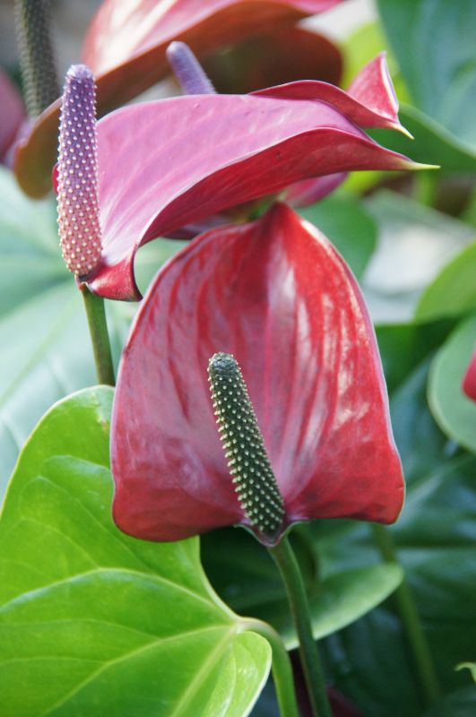 Viewing photos→2014→2014-03-07→25