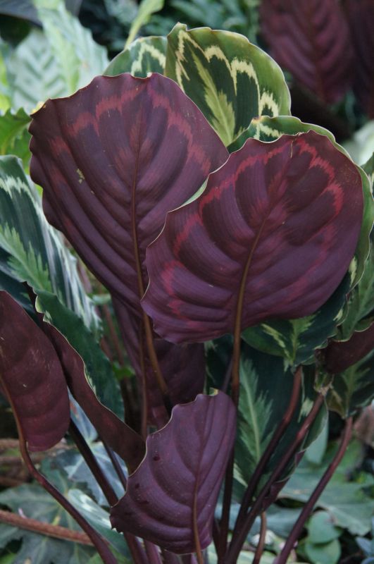 Viewing photos→2014→2014-03-07→28