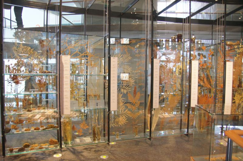 Viewing photos→2014→2014-03-16→04