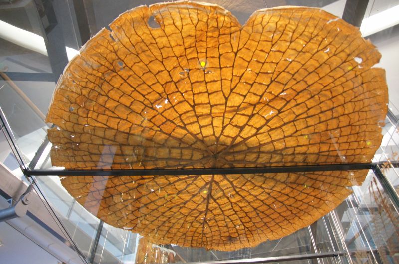 Viewing photos→2014→2014-03-16→05