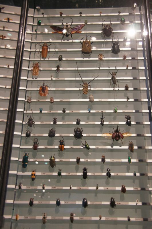 Viewing photos→2014→2014-03-16→10