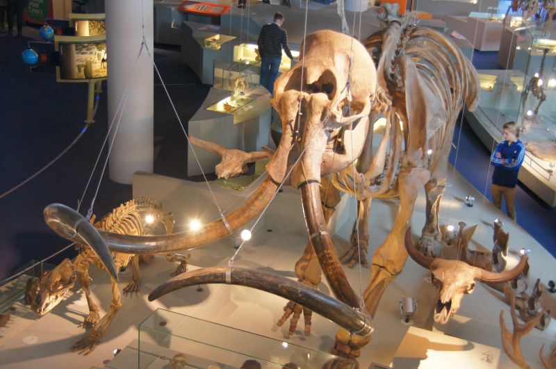 Viewing photos→2014→2014-03-16→11