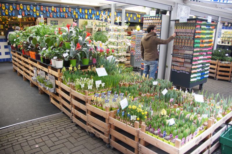 Viewing photos→2014→2014-03-16→31