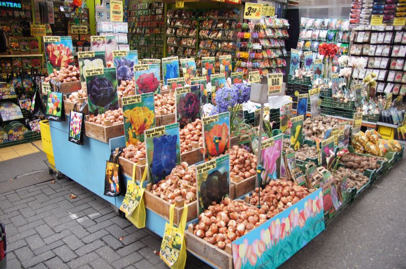 Viewing photos→2014→2014-03-16→33