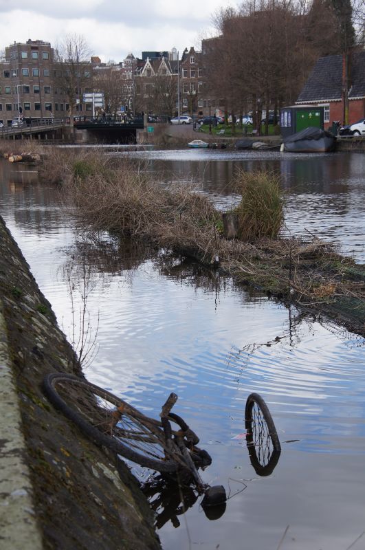 Viewing photos→2014→2014-03-16→55