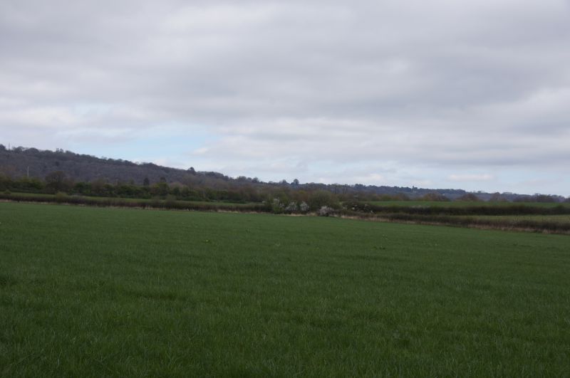 Viewing photos→2014→2014-04-05→01