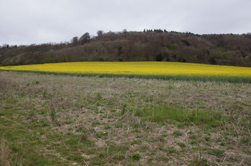 Viewing photos→2014→2014-04-05→04