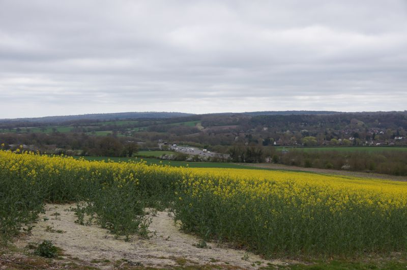 Viewing photos→2014→2014-04-05→05