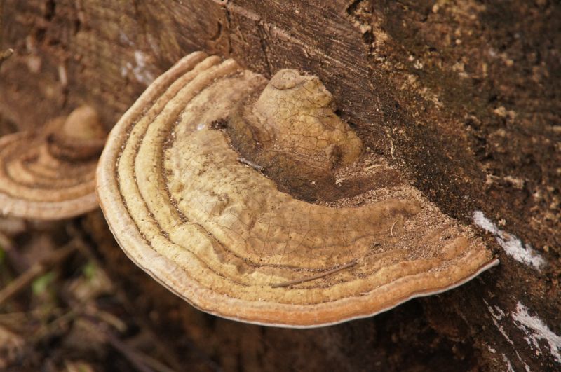 Viewing photos→2014→2014-04-05→08