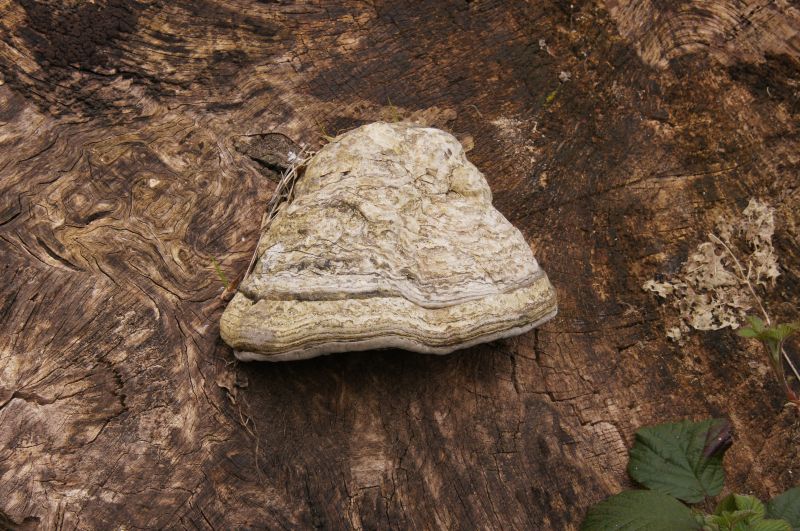 Viewing photos→2014→2014-04-05→09